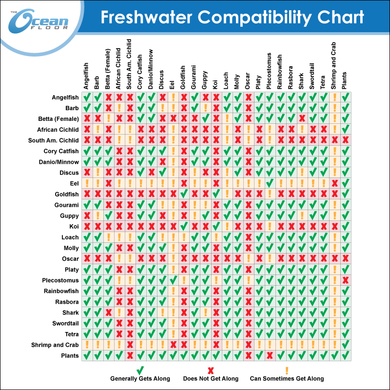 fish compatibility chart